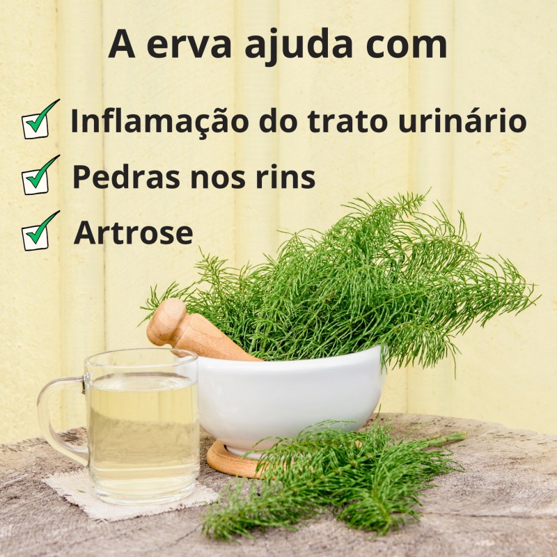 Caule de Cavalinha - 3x70g