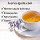Lavanda - 3x50g