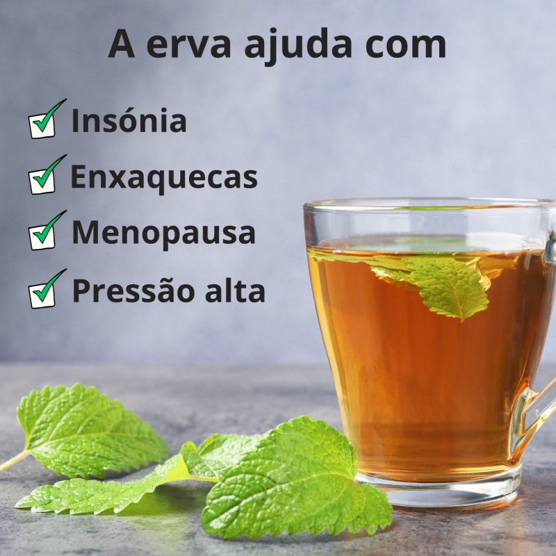Erva-cidreira - 3x40g
