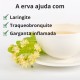 Tília - 3x60g