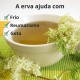 Ulmária - 3x70g