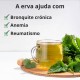 Urtiga - 3x40g