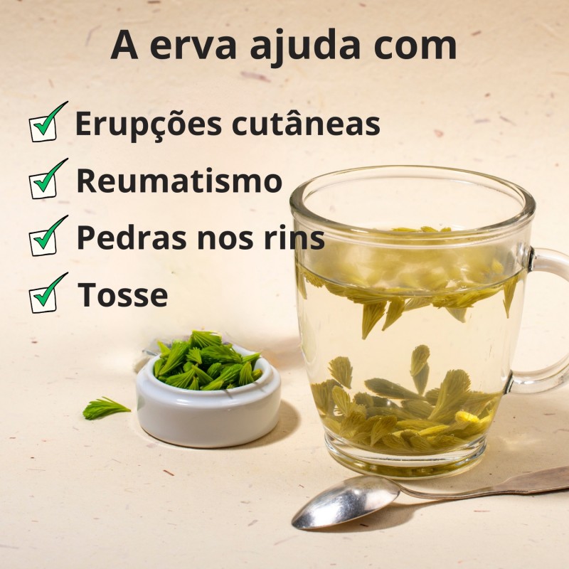 Pontas de Pinheiro - 3x50g