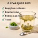 Pontas de Pinheiro - 3x50g
