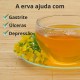 Erva de Sao Joao - 3x60g