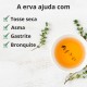 Tomilho - 3x60g