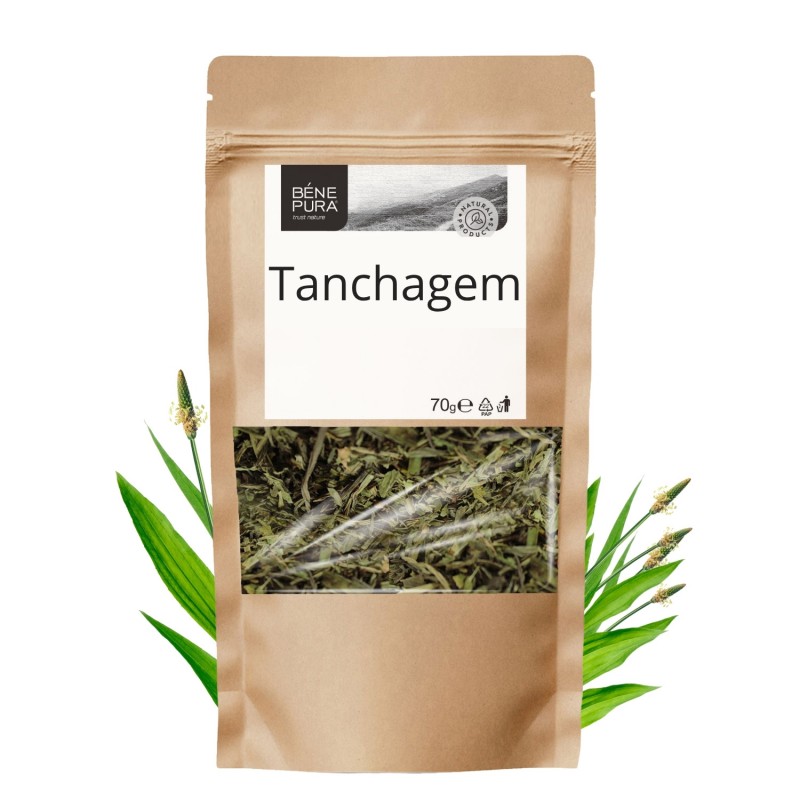 Tanchagem - 3x70g - Ervas