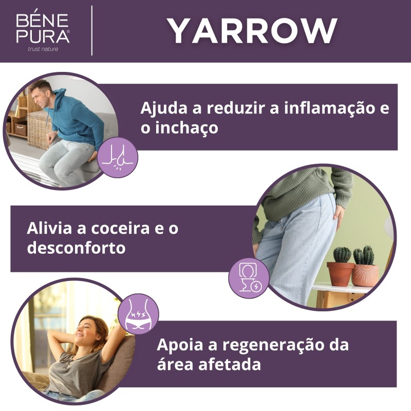 Conjunto Pomadas para Hemorroidas