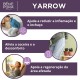 Conjunto Pomadas para Hemorroidas