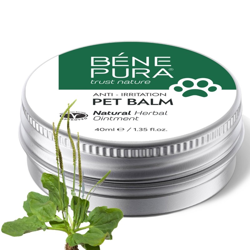 Bálsamo Anti Irritação para Animais com Tanchagem  - 40ml - Pomadas de ervas