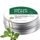 Pomada para Coceira com Tanchagem - 40ml