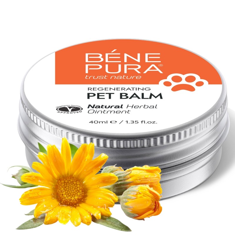 Bálsamo Regenerador para Animais com Calêndula - 40ml - Pomadas de ervas