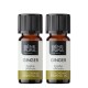 2x Bio Gengibre Óleo essencial - 5ml