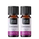 2x Bio Orégão Óleo essencial - 10ml