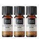3x Bio Canela Óleo essencial - 10ml