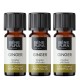 3x Bio Gengibre Óleo essencial - 5ml