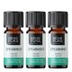 3x Bio Hortelã-verde Óleo essencial - 5ml