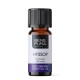 Bio Hissopo Óleo essencial - 5ml