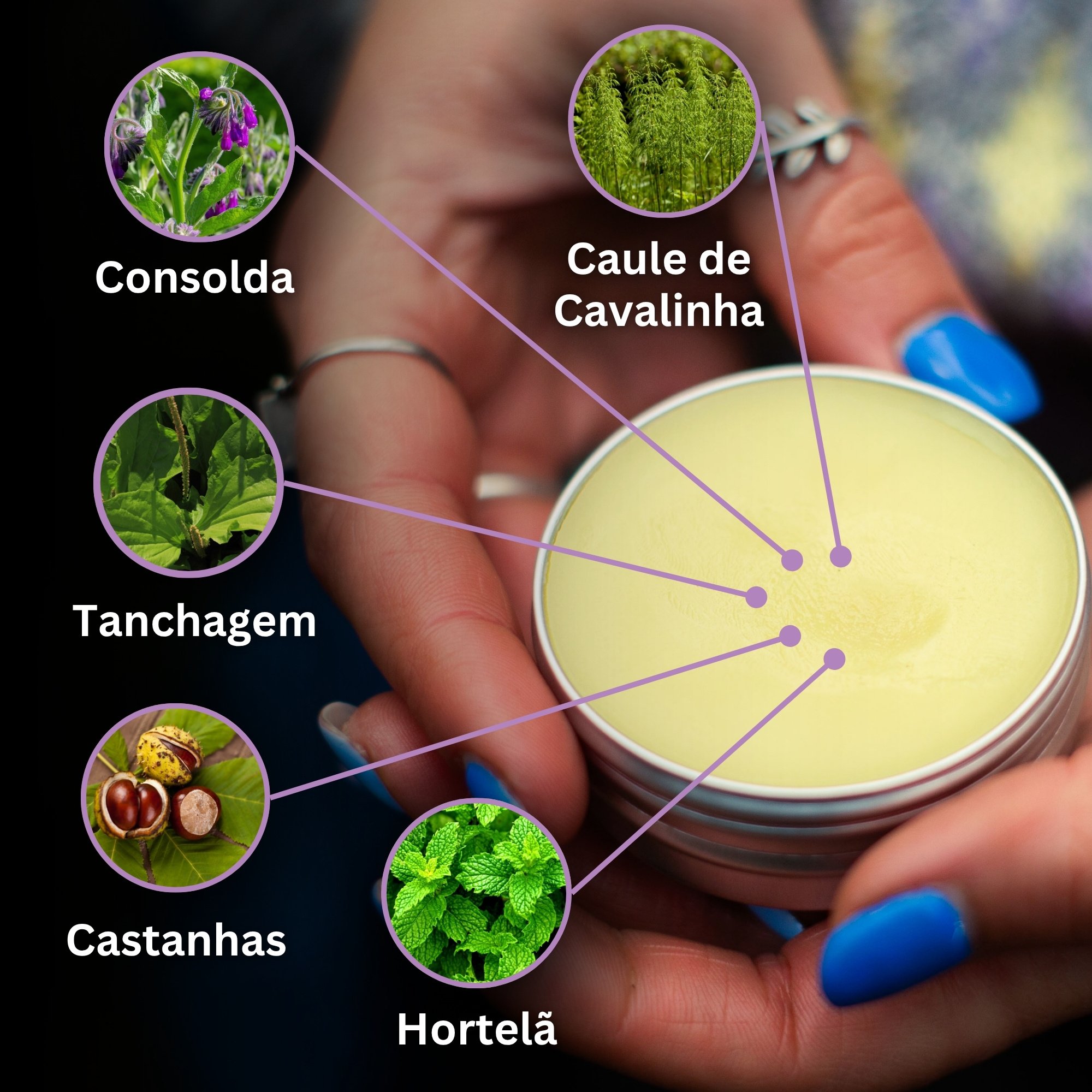 Conjunto "Universal 2"