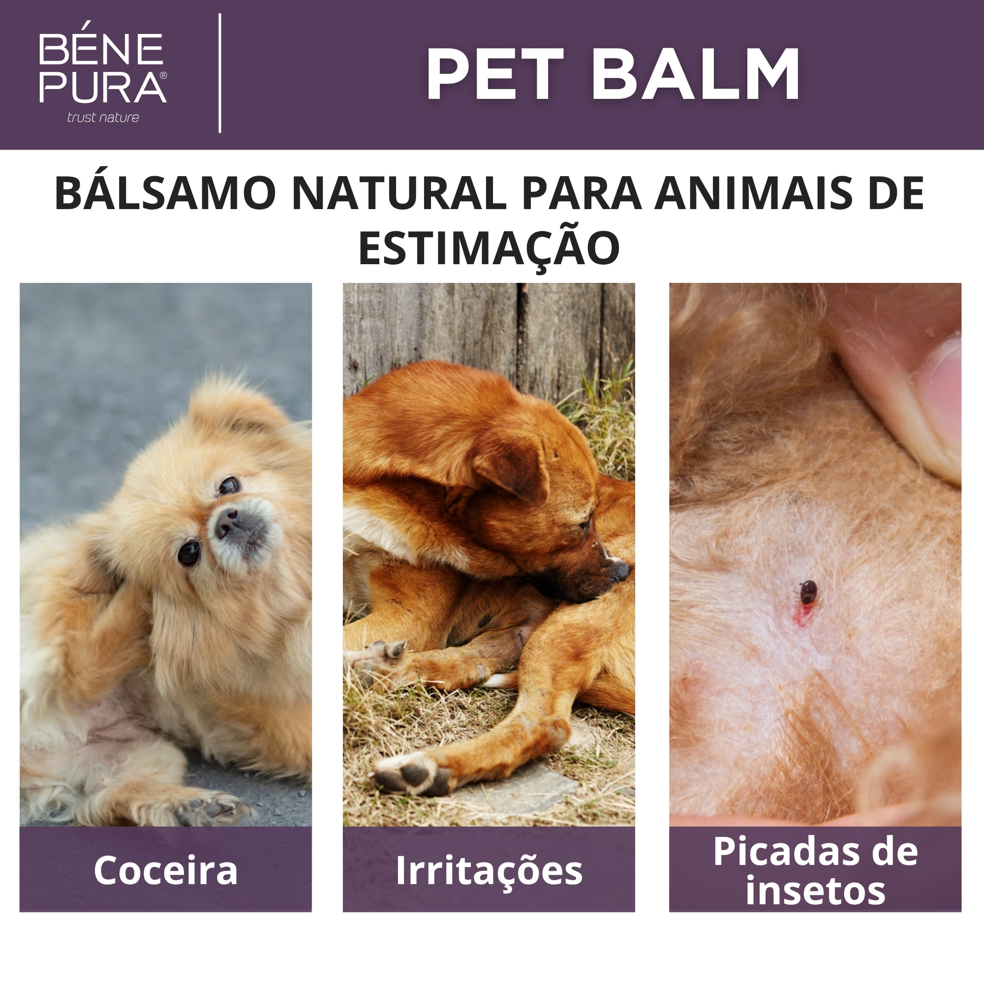 Bálsamo Anti Irritação para Animais com Tanchagem  - 40ml