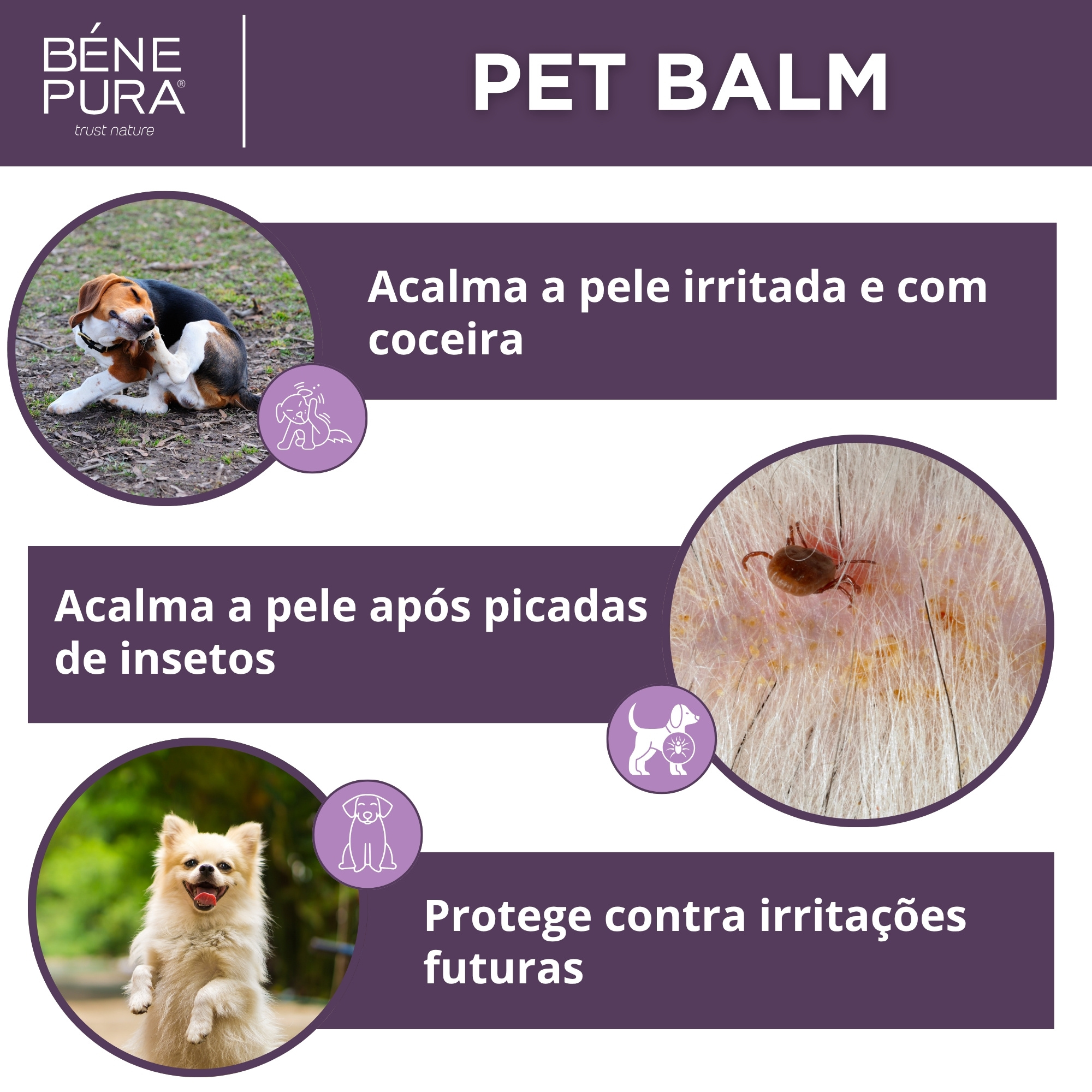 Bálsamo Anti Irritação para Animais com Tanchagem  - 40ml