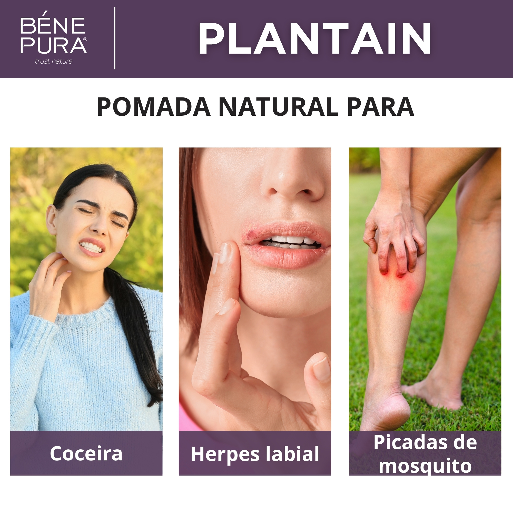 Conjunto "Pomadas para Comichao"