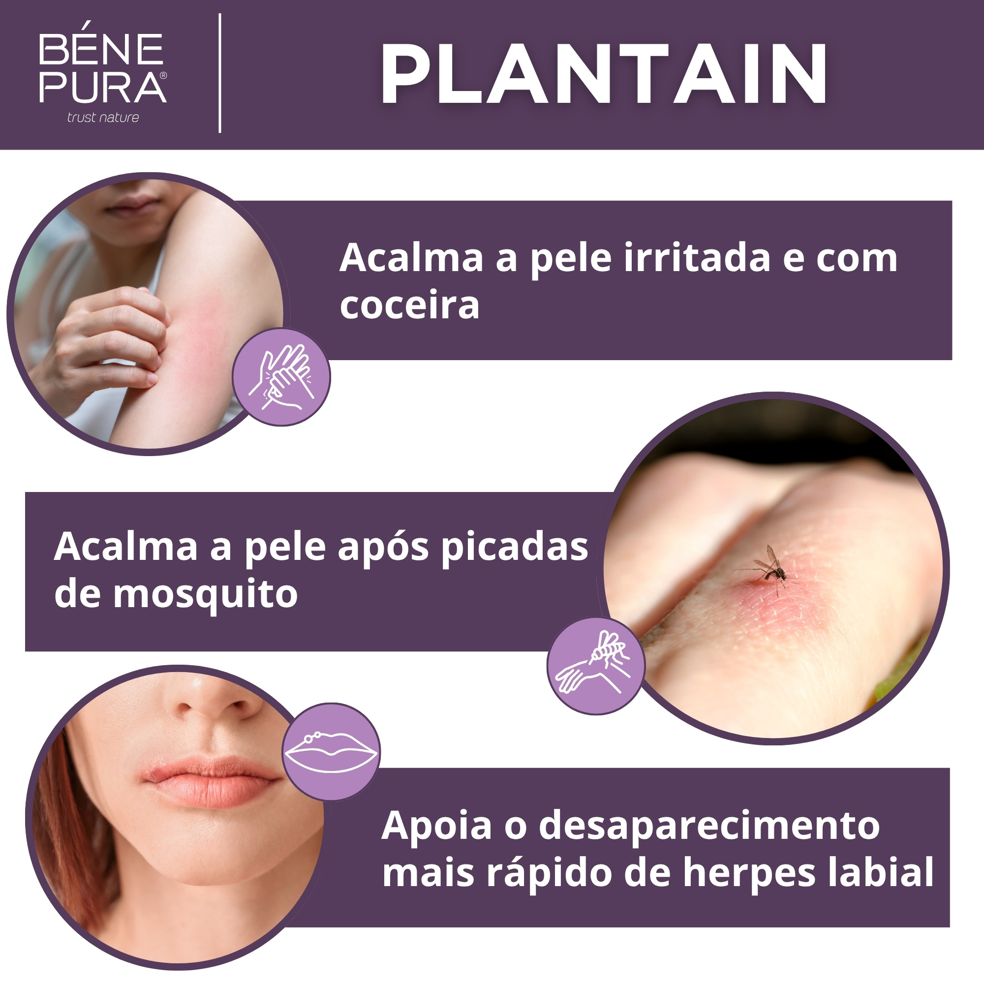 Conjunto "Pomadas para Comichao"