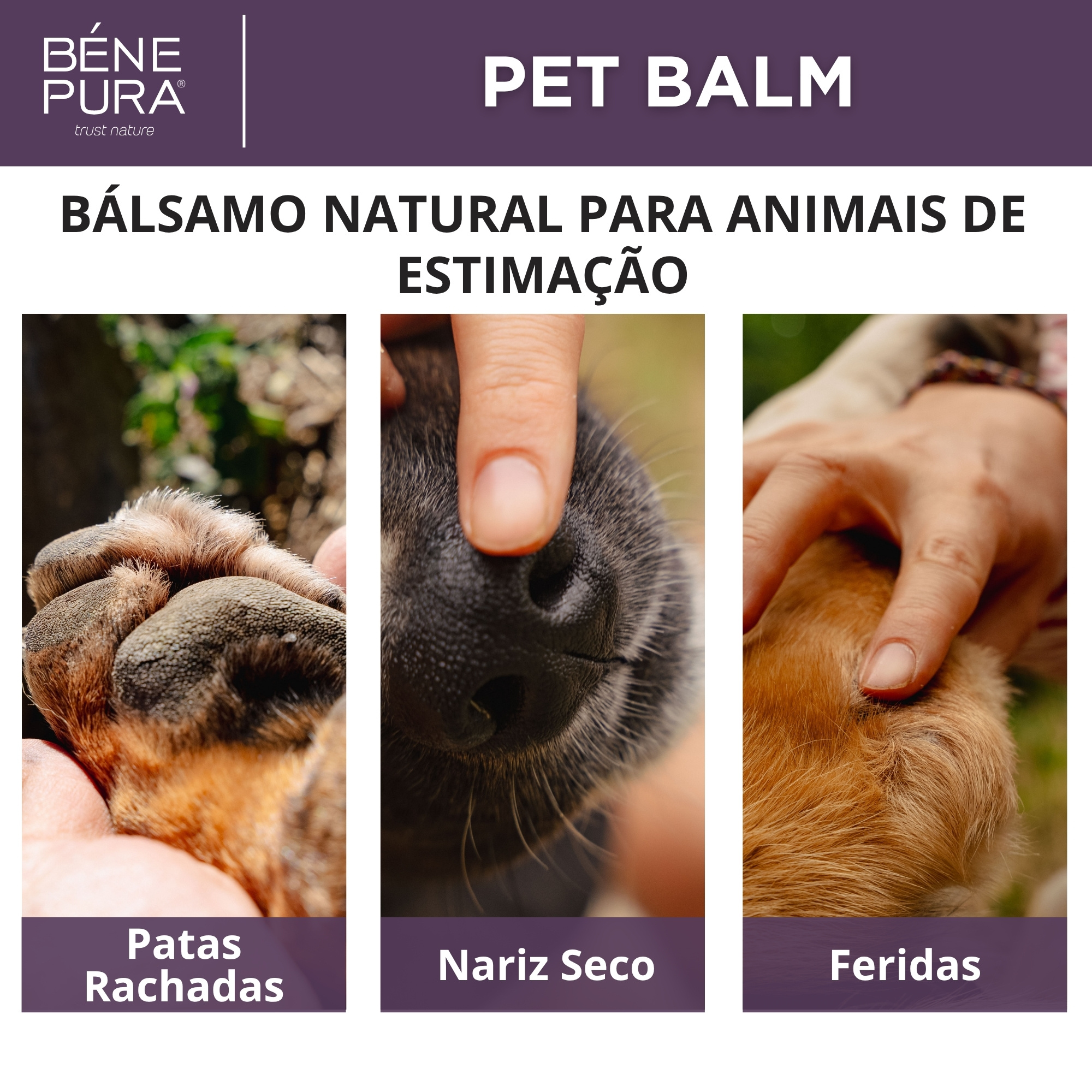 Conjunto "Pomadas para Cães"