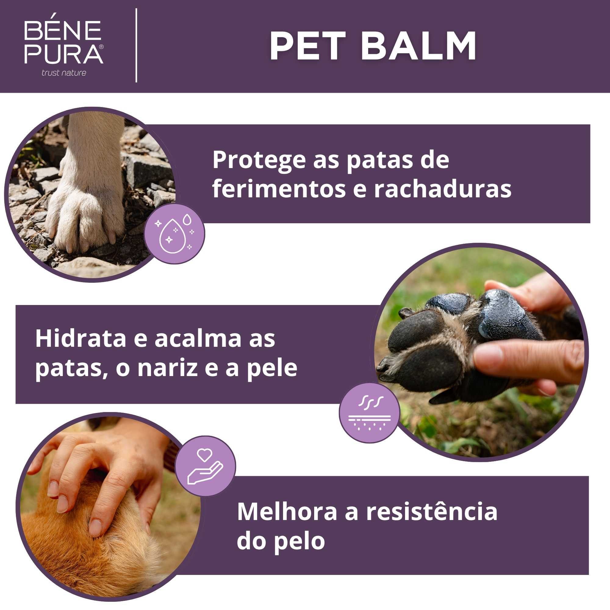 Conjunto "Pomadas para Cães"