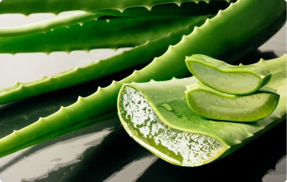 Pomada para Queimaduras e Feridas com Calêndula, Aloe Vera e Erva de São João - 40ml